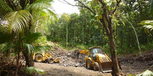 <strong>LA LOI DE LA JUNGLE tourné en Ile-de-France et en Guyane<br /></strong>