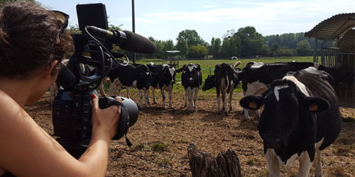 <strong>Sur le tournage de BLOODY MILK et de CORNELIUS, LE MEUNIER HURLANT.</strong>