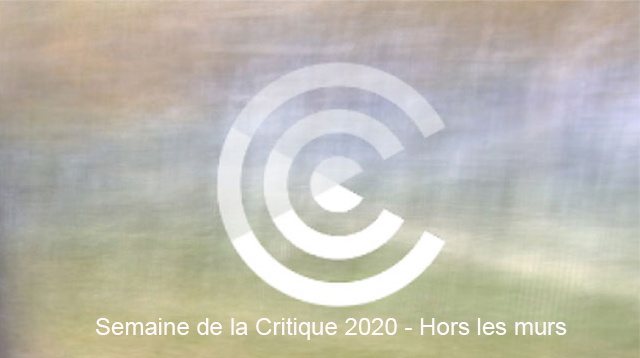 critique 2020