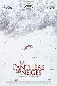 La panthère des neiges