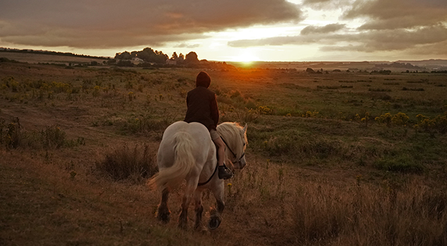 bruno dumont