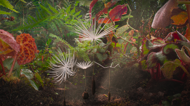 <strong>En vidéo : PLANÉTES de Momoko Seto, prend son envol pour les salles de cinéma !</strong>